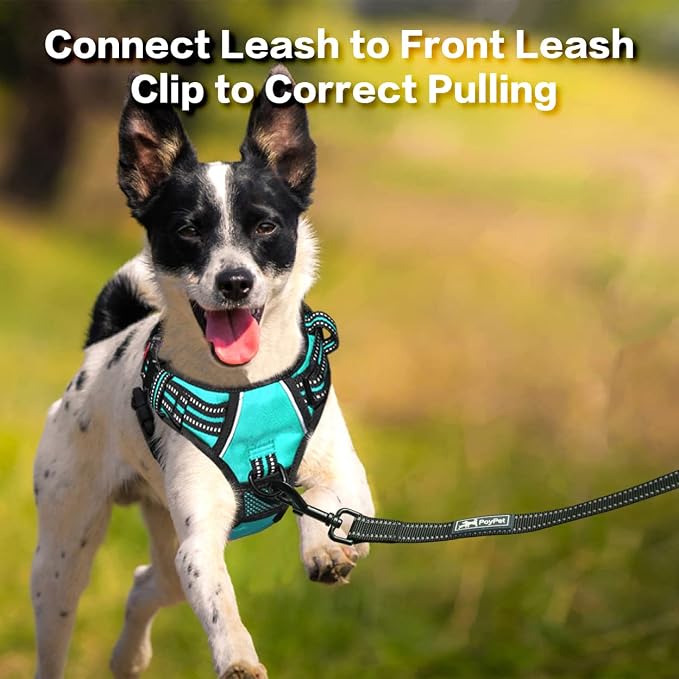 PoyPet No Pull Dog Harness with 3 Leash Clips and Vertical Handle | No Choke, Reflective, Adjustable, Soft Padded, Dog Vest for Large Dogs, Walking Training, Mint Blue, XL - Image 5