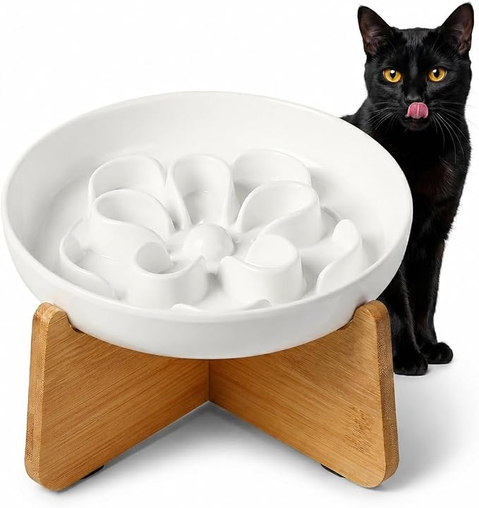 PTOBER Elevated Slow Feeder Cat Bowl - Melamine Cat Dish with Anti-Slip Bamboo Stand - Whisker Friendly Feeding Bowl - Floral Maze Food Plate for Slow Eating - White by PTOBER