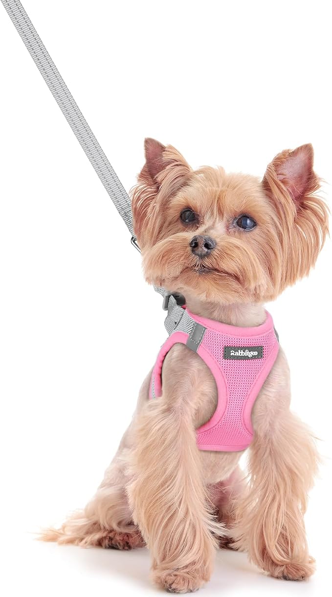 rabbitgoo Dog Harness Small Sized and Leash Set, Step-in Puppy Pet Vest | Light, Soft, Breathable Air Mesh, Easy on and Remove with Hook & Loop, Secure Reflective for Walking, Light Pink & Gray XXS by rabbitgoo