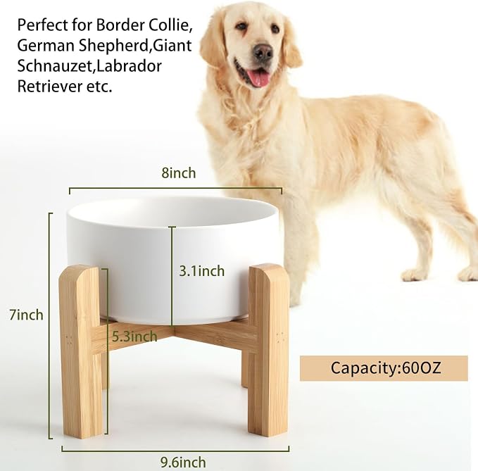 Petygooing White Elevated/Raised Ceramic Dog Bowl for Medium and Large Breeds, Dog Food Water Dish with Stand,Pet Feeding Bowl with Anti Slip Rubber Large Dogs(1800ml 7.6 Cups) - Image 3