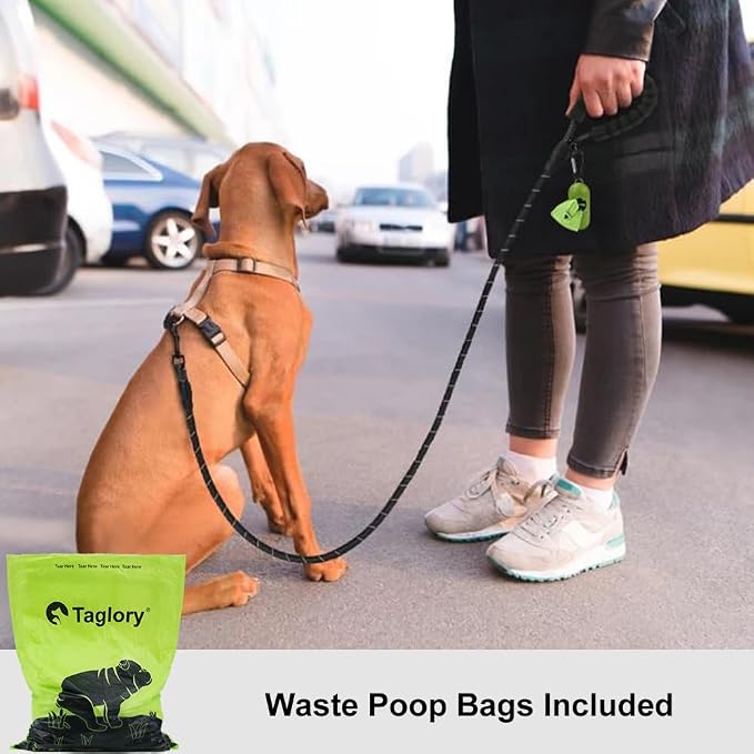 Taglory Rope Dog Leash for Small Medium Dogs, 6 FT Padded Handle, Black | Made of Climbing Rope, Reflective for Night Walks and Training, Comfortable Grip, Anti-tangle Swivel Clip, 3/8 inch - Image 2