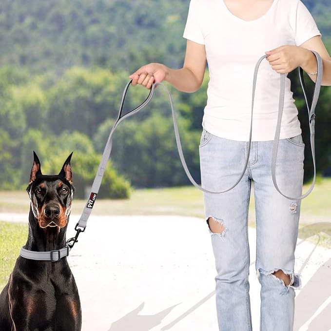 Plutus Pet Double Handle Dog Leash, 6 FT Long, for Medium Large Dogs | Reflective Nylon, Soft Padded 2 Handles, Heavy Duty for Training, Dual Handle Lead, 6 FT x 1”, Gray - Image 6