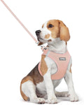 rabbitgoo Dog Harness Medium Sized and Leash Set, Step-in Puppy Pet Vest | Light, Soft, Breathable Air Mesh, Easy on and Remove with Hook & Loop, Secure Reflective for Walking, Pink L by rabbitgoo