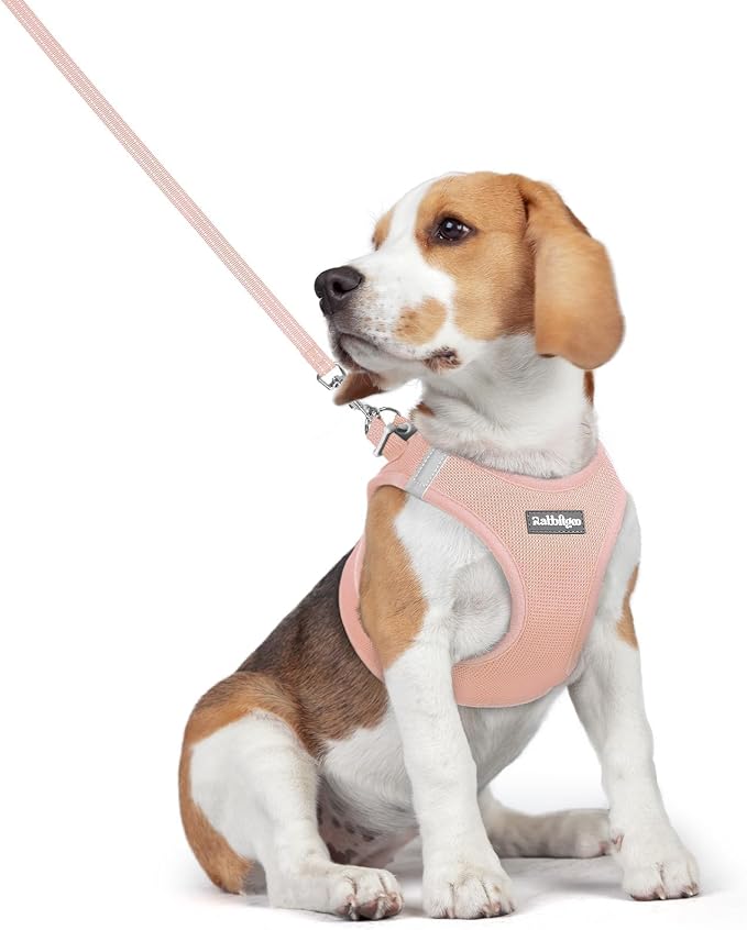 rabbitgoo Dog Harness Medium Sized and Leash Set, Step-in Puppy Pet Vest | Light, Soft, Breathable Air Mesh, Easy on and Remove with Hook & Loop, Secure Reflective for Walking, Pink L by rabbitgoo