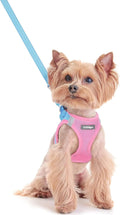 rabbitgoo Dog Harness Small Sized and Leash Set, Step-in Puppy Pet Vest | Light, Soft, Breathable Air Mesh, Easy on and Remove with Hook & Loop, Secure Reflective for Walking, Blue & Light Pink XXS by rabbitgoo