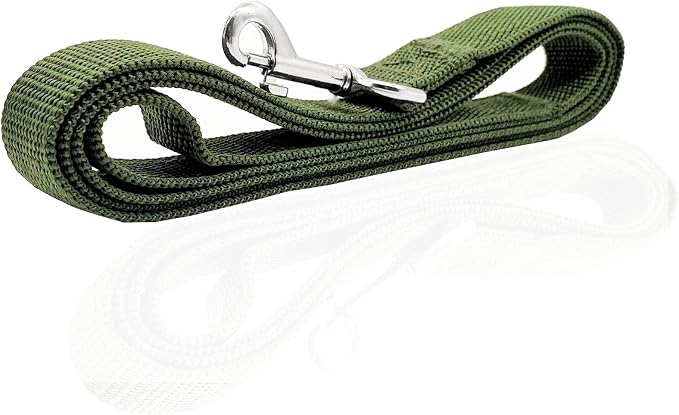 Nylon Dog Leash 4 Ft 5 Feet 6 Foot Long, Walking Training Dog Leashes for Medium Large Dogs, 1 Inch Wide (1" X 5 ft, Green) - Image 3