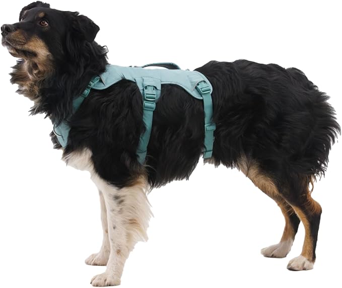 Ruffwear, Web Master, Multi-Use Support Dog Harness, Hiking and Trail Running, Service and Working, Everyday Wear, Red Canyon, Medium - Image 4