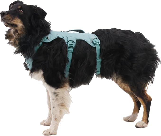 Ruffwear, Web Master, Multi-Use Support Dog Harness, Hiking and Trail Running, Service and Working, Everyday Wear, Blaze Orange, Medium - Image 4