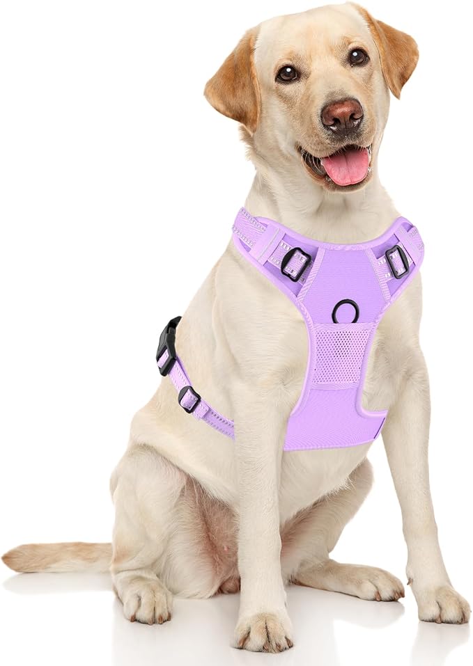 Rnivvi No Pull Dog Harness, Cute Reflective Medium Sized Puppy Kitten Harness, Adjustable Soft Padded Vest for Medium Dogs, Heavy Duty Pet Vest with Easy Control Handle for Walking, Purple - Image 2