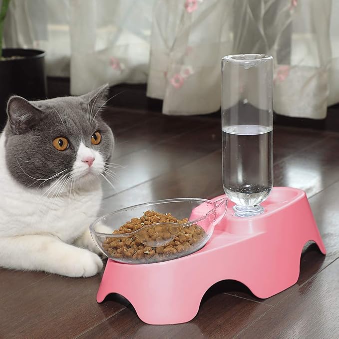 MILIFUN Double Dog Cat Bowls - Pets Water and Food Bowl Set, 15°Tilted Water and Food Bowl Set with Automatic Waterer Bottle for Small or Medium Size Dogs Cats - Image 8
