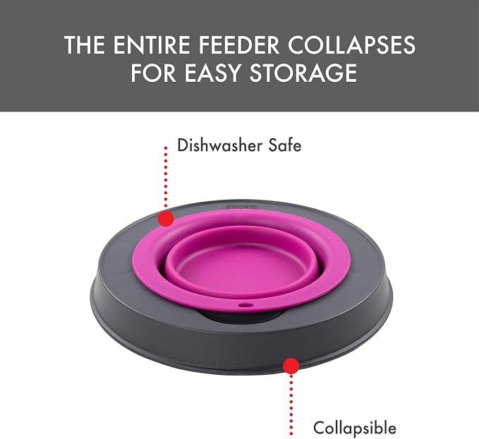 Dexas Pets Elevated Pet Feeder, Small, 1.5 Cup Capacity, Fuchsia, Raised Pet Food and Water Bowl - Image 7