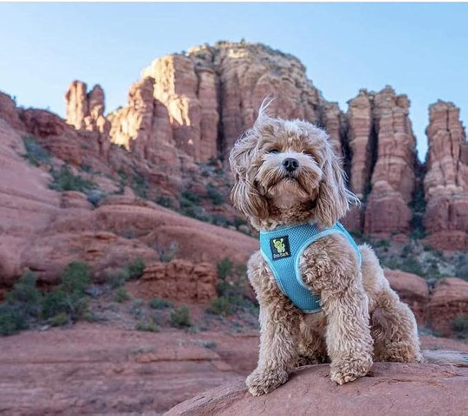 EcoBark Step in Dog Harness, Reflective & Adjustable Chest Halter, XL | Eco Friendly Soft Mesh Dog Harnesses for Small & Medium Breed Dogs, Escape Proof No Choke Chest Body Vest, Baby Blue - Image 5
