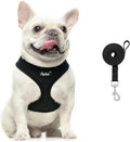 PUPTECK Small Dog Harness and Leash Set No Pull for XS XXS Sized Dogs Puppy | Escape Proof No Choke Pet Cat Adjustable Soft Padded Walking Vest by PUPTECK