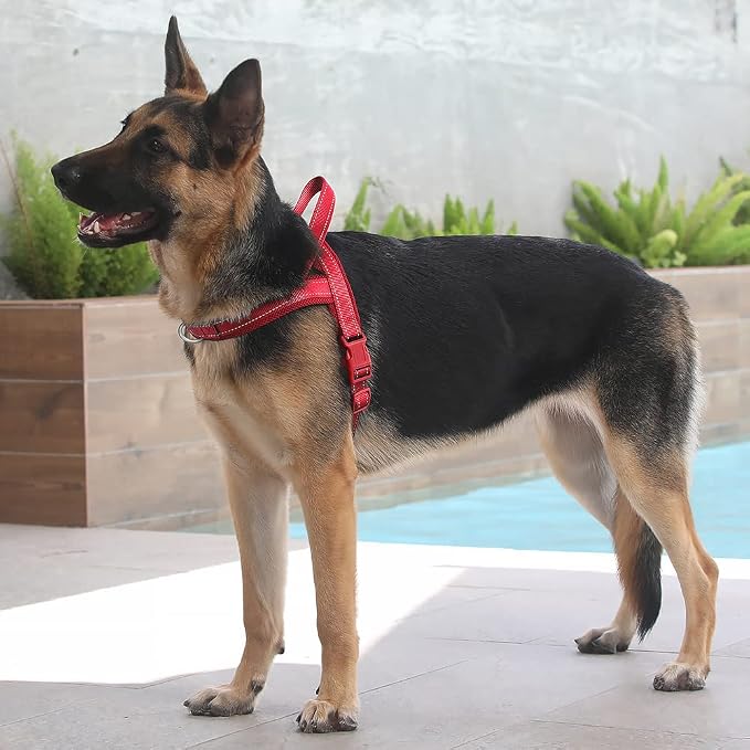 Plutus Pet No Pull Dog Harness for Large Dogs, Breathable Mesh Padded | Adjustable Reflective with Handle, Escape Proof, Quick Fit Pet Vest, Front Clip, for Training and Walking, Red, XL - Image 5