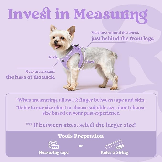 rabbitgoo Step-in Small Dog Harness, Puppy Vest for Medium Sized Pet | Easy Put on and off, Lightweight, Soft, Breathable Quick-Dry Air Mesh for Comfortable Secure Walking, Light Purple XXL - Image 2