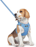 rabbitgoo Dog Harness Medium Sized and Leash Set, Step-in Puppy Pet Vest | Light, Soft, Breathable Air Mesh, Easy on and Remove with Hook & Loop, Secure Reflective for Walking, Blue & Plaid Trim L by rabbitgoo