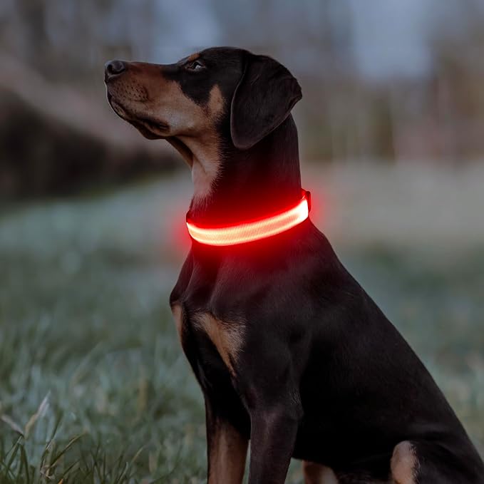 Illumifun LED Dog Collar - Adjustable Light Up Dog Collar - Safety Pet Collar Light Make Your Dogs Safe& Seen at Night (Red, Small) - Image 6