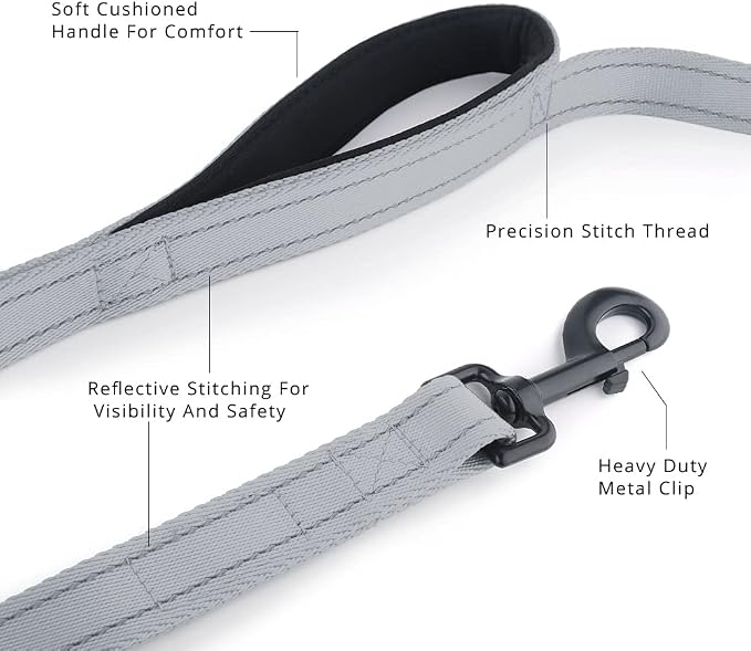 Plutus Pet Double Handle Dog Leash, 6 FT Long, for Medium Large Dogs | Reflective Nylon, Soft Padded 2 Handles, Heavy Duty for Training, Dual Handle Lead, 6 FT x 1”, Gray - Image 3