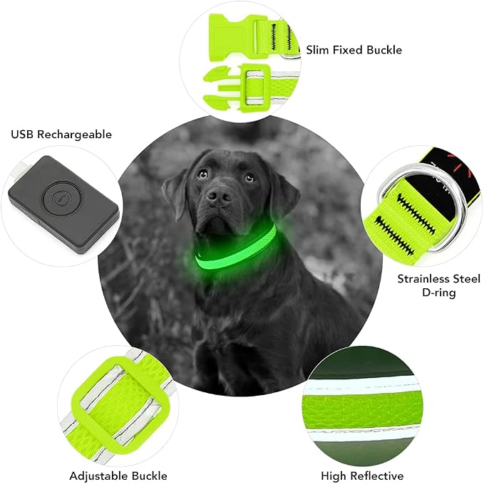 YFbrite Light up Dog Collar, USB Rechargeable LED Puppy Collar Super Bright Adjustable Glowing Dog Lights for Night Walking (Green, Medium) - Image 3