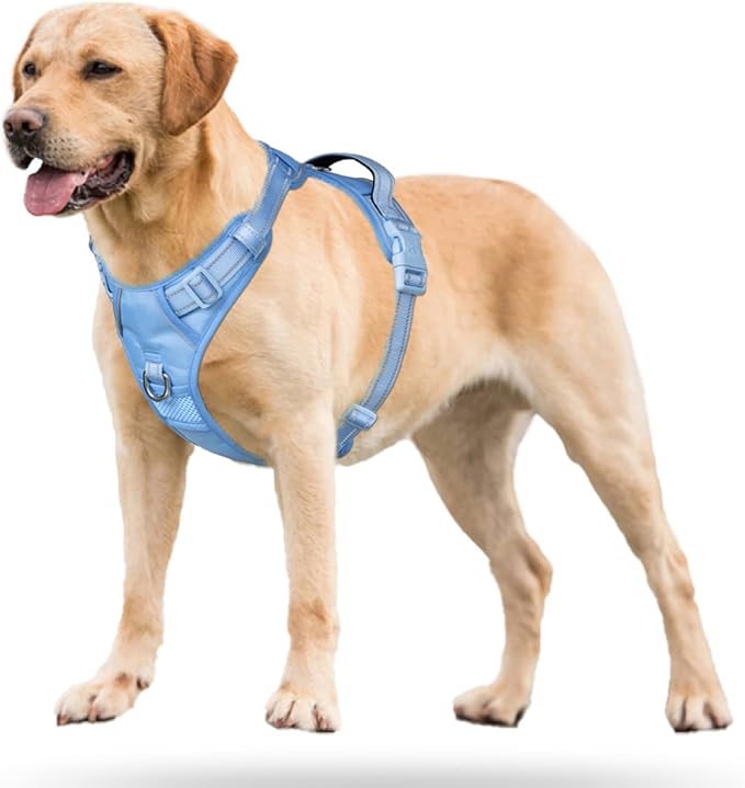 PoyPet No Pull Dog Harness, Reflective Vest with 2 Leash Clips & Handle | Lockable Neck Release Buckle, No Choke, Adjustable, Soft Padded, for Walking Training, Light Blue Matching Trim, X-Large - Image 2