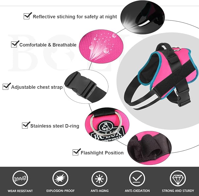 Dog Harness, No-Pull Reflective Dog Vest, Breathable Adjustable Pet Harness with Handle for Outdoor Walking - No More Pulling, Tugging or Choking Small (Pack of 1) RoseTurquoise - Image 2
