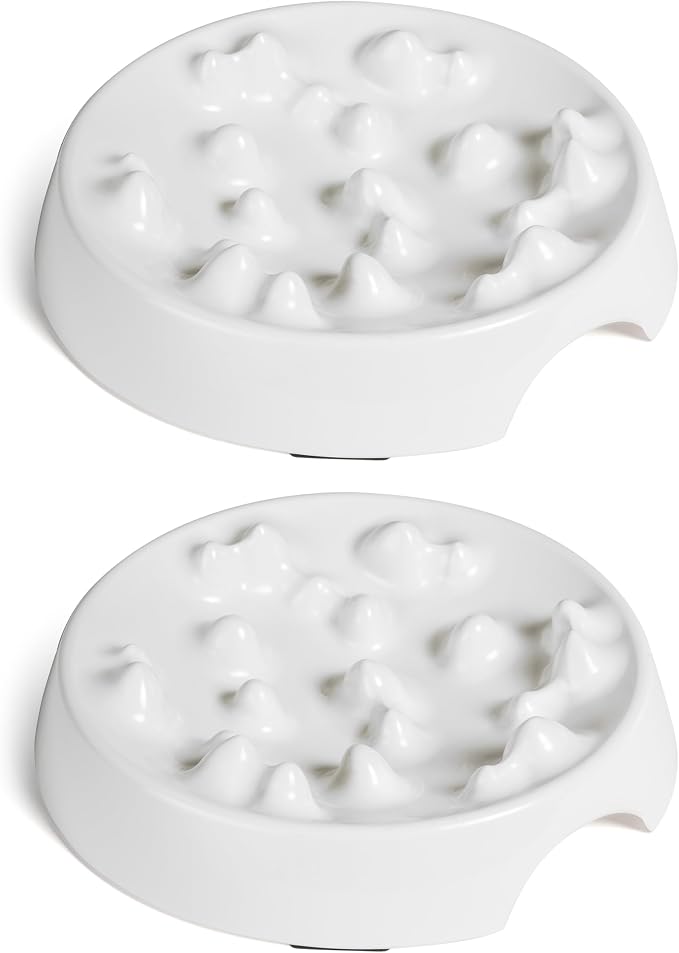 CatGuru Whisker-Friendly Slow Feeder Cat Bowl for Healthy Digestion | Perfect for kittens, adult, and senior cats. Encourages calm, healthy eating habits at every age. by CatGuru