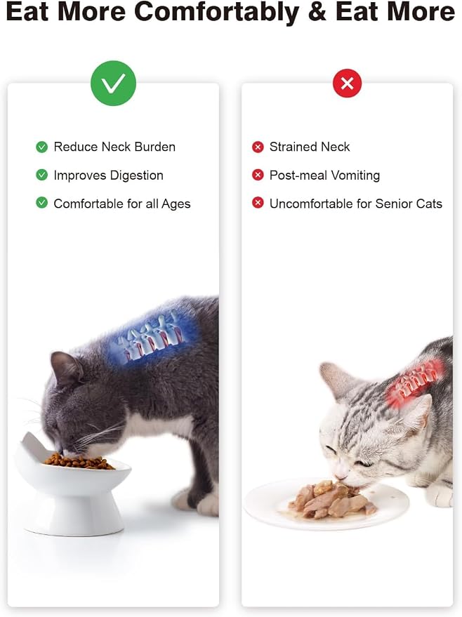 ABRUTY Cat Food Bowl, 5 OZ Ceramic Elevated Kitten Water Bowl, 15° Tilted Raised Pet Feeder, Anti Vomiting and Whisker Friendly Dishes for Fat Faced, Cat, Kitten, Small Dog - Image 5
