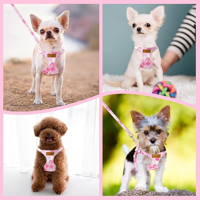 SlowTon No Pull Dog Harness with Leash for Small Medium Dogs, Strawberry XXS - Image 7