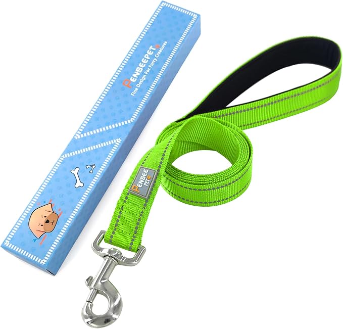 6 FT Basic Dog Leash for Medium Dogs,Green | Padded Handle,Metal D-Ring,Heavy Duty Nylon Webbing, for Walking & Training - Image 6