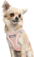 rabbitgoo Step-in Small Dog Harness, Puppy Vest for Small Sized Pet | Easy Put on and off, Lightweight, Soft, Breathable Quick-Dry Air Mesh for Comfortable Secure Walking, Pink XXXS by rabbitgoo