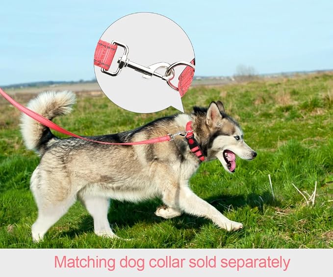 Taglory Reflective Dog Leash for Small Dogs, 3/4in x 4ft, Pink | Ideal for Night Walking, Strong for Sudden Pulls, Lightweight & Gentle on the Neck, Soft Padded Handle - Image 4