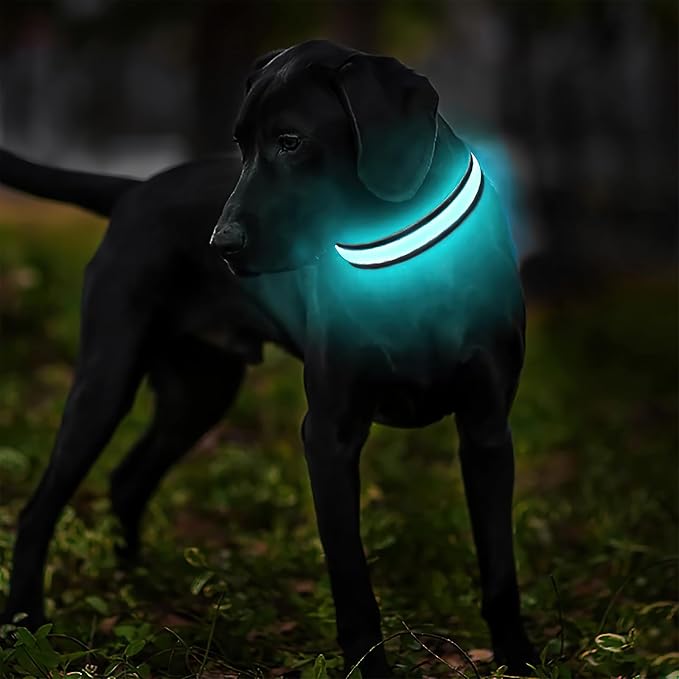 MASBRILL Light Up Dog Collars - LED Dog Collar Rechargeable Lighted Dog Collars for Night Resistant-Water Glow Dog Collar - Image 2