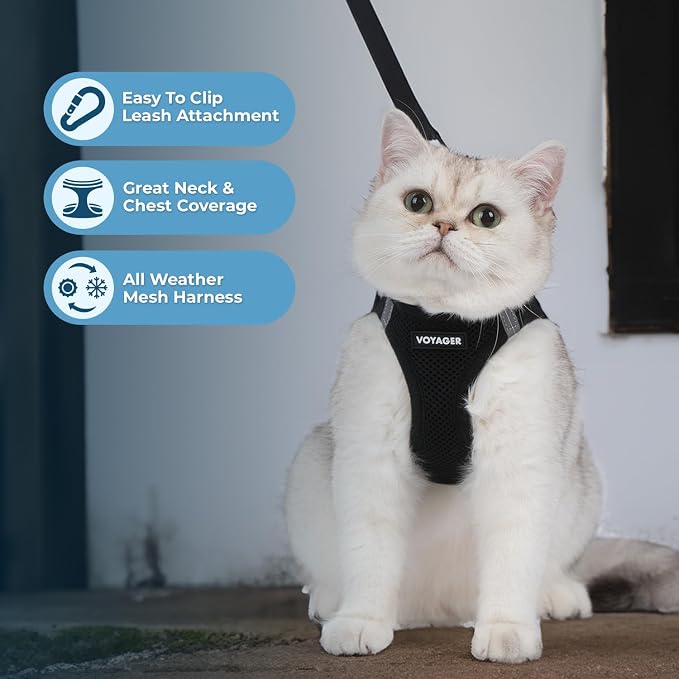 Voyager Step-in Air Cat Harness & Leash Set - Black, XX-Small | 12 - 13.5" in Chest, Reflective Bands, All Weather Breathable Air Mesh, Cats Compatible, Fast Drying - Image 2