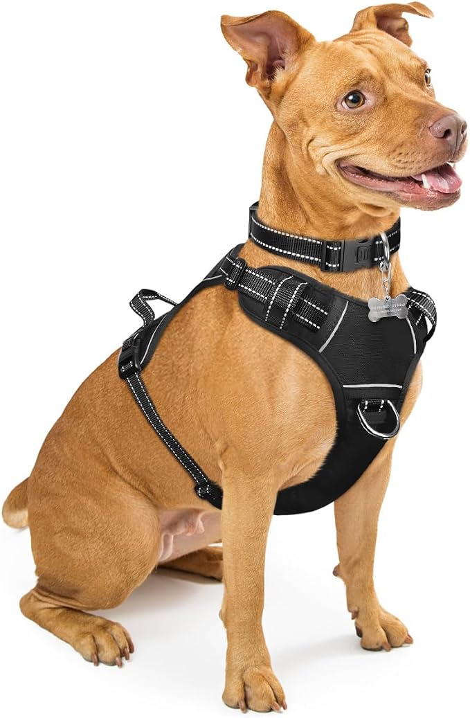 Dog Harness No Pull, Pet Harnesses with Dog Collar, Adjustable Reflective Oxford Outdoor Vest, Front/Back Leash Clips for Small, Medium, Large, Extra Large Dogs, Easy Control Handle for Walking by WINSEE