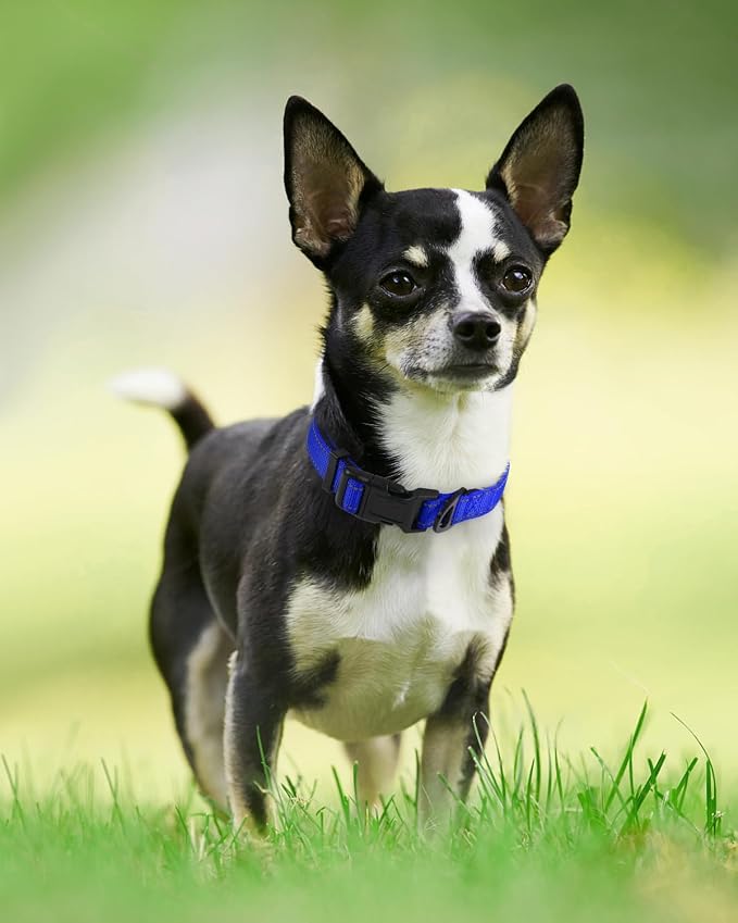 Joytale Reflective Dog Collar, Adjustable Neoprene Padded, Navy Blue XS | Breathable Nylon for Puppies and Small Breeds, No Chafing on Walks and Indoor Training, Light Metal D-Ring, Night Safety - Image 6