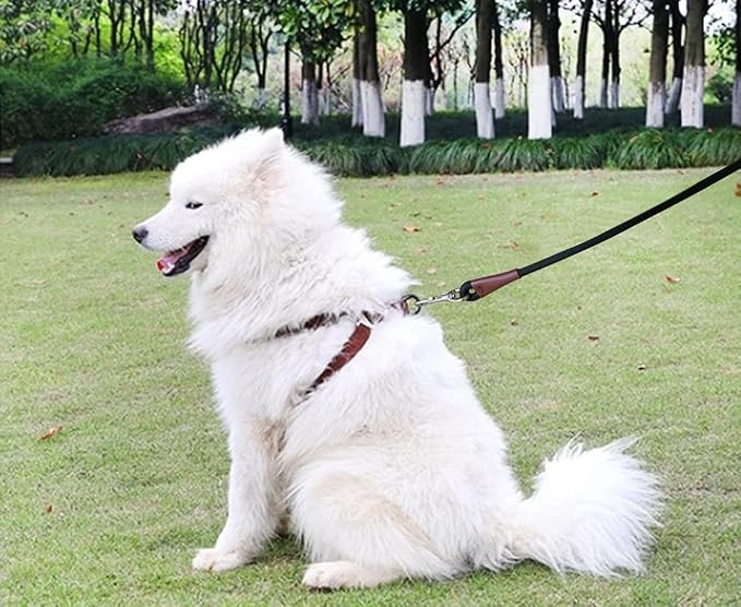 MayPaw 4/6 /8/10 FT Dog Leash, Classic Solid Colors, Strong Nylon Rope Dog Leash Reinforced with Leather Tailor Connection Heavy Duty Silver Clasp (Black, 4ft*1/2") - Image 7