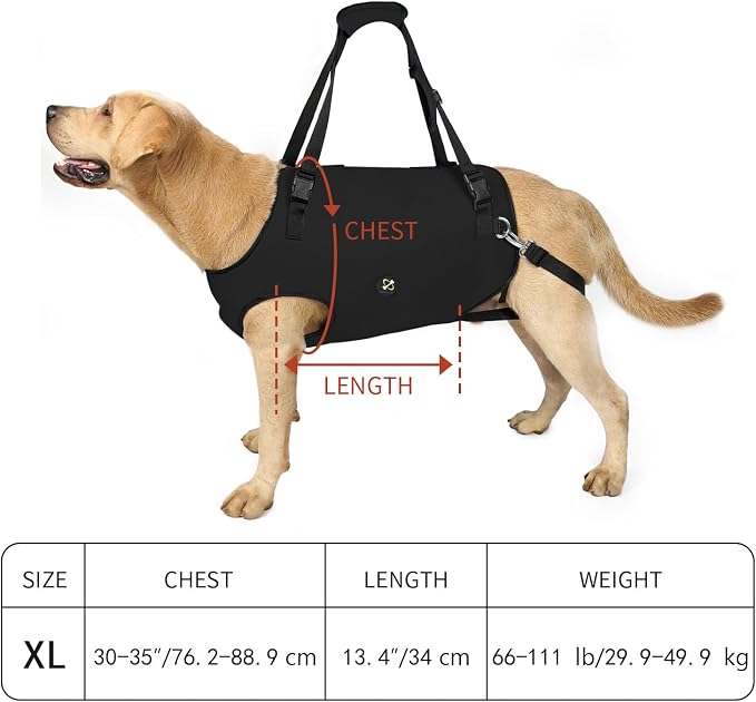 Coodeo Dog Lift Harness, Pet Support & Rehabilitation Sling Lift Adjustable Padded Breathable Straps for Old, Disabled, Joint Injuries, Arthritis, Loss of Stability Dogs Walk (Black, XL) - Image 5