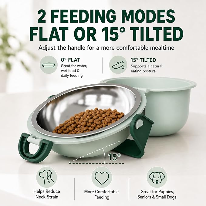 Travel Pet Bowl, Portable Dog and Cat Food & Water Bowl with Handle - Non-Slip, Easy to Clean, Made with Food Grade Plastic & 18/8 Stainless Steel for On-The-Go Pets (Sage Green) - Image 5