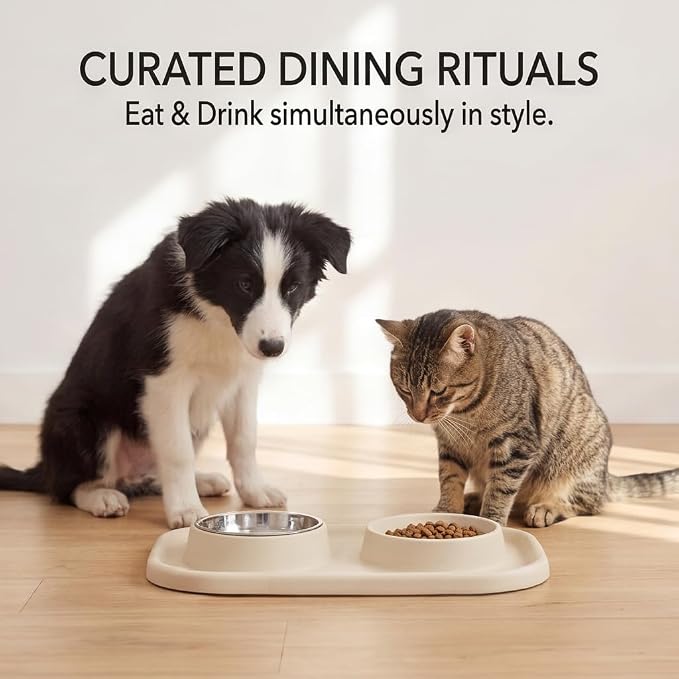 Slow Feeder Dog Bowls, Dog Bowl Set for Puppies, Small Dogs, and Cats – Silicone Non-Slip Food and Water Feeding Station, Spill-Proof Pet Dishes for Mess-Free Meals - Image 6