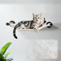 Cat Hammock Wall Mounted, 22.44 x 13.78 in (Soft & Warm Fabric) | Washable Replacement Cloth, For Medium-Sized cats, Wall Mounted Cat Shelves for Sleeping, Playing, Climbing and Resting by XIFOWE