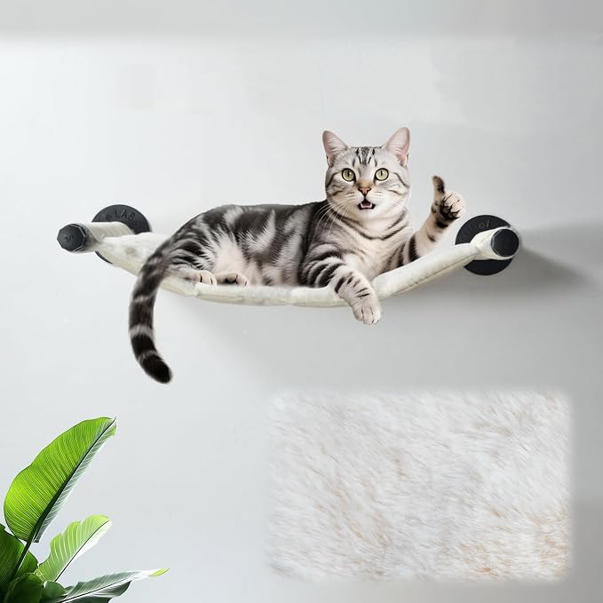 Cat Hammock Wall Mounted, 22.44 x 13.78 in (Soft & Warm Fabric) | Washable Replacement Cloth, For Medium-Sized cats, Wall Mounted Cat Shelves for Sleeping, Playing, Climbing and Resting by XIFOWE