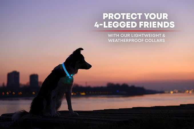 ILLUMISEEN LED Dog Collar USB Rechargeable - Bright & High Visibility Lighted Glow Collar for Pet Night Walking - Weatherproof, in 6 Colors & 6 Sizes (Blue Large) - Image 6