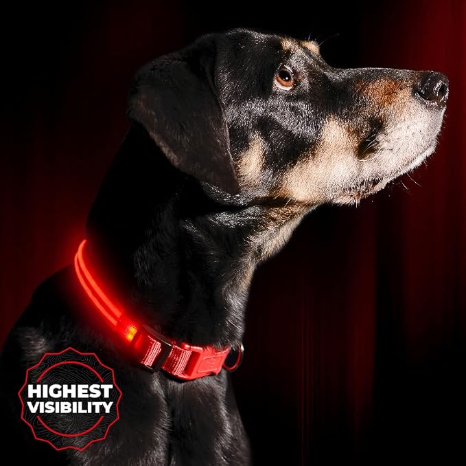 LED Dog Collar USB Rechargeable - Bright & High Visibility Lighted Glow Collar for Pet Night Walking - Weatherproof, in 6 Colors & 6 Sizes (Red Large) by Illumiseen