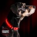 LED Dog Collar USB Rechargeable - Bright & High Visibility Lighted Glow Collar for Pet Night Walking - Weatherproof, in 6 Colors & 6 Sizes (Red Large) by Illumiseen