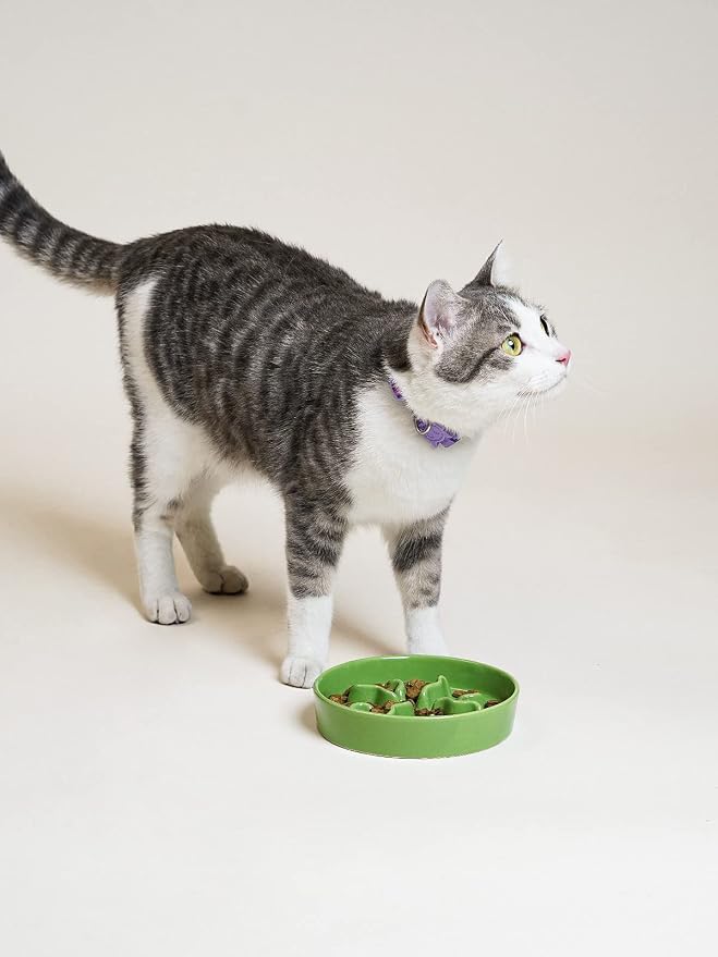 Ceramic Slow Feeder Dog Bowls Small Breed, 0.5 Cups Dog Food Dish for Fast Eaters, Puzzle Bowl for Small Dogs and Cats, 5.5 Inch-Green - Image 5
