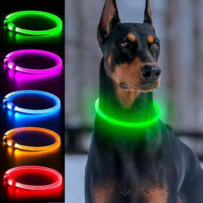 Light Up Dog Collar, USB Rechargeable, LED, Green | Cuttable TPU, Waterproof, Night Walking, Night Safety, Glow in the Dark, Small Medium Large Dogs, Camping, Outdoor by Dlitk