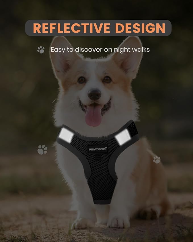 FAYOGOO Service Dog Vest Set for Small Dogs, Mesh Harness and Leash | Lightweight step-in vest with leash and removable identification patches; measure neck and chest before choosing a size - Image 4