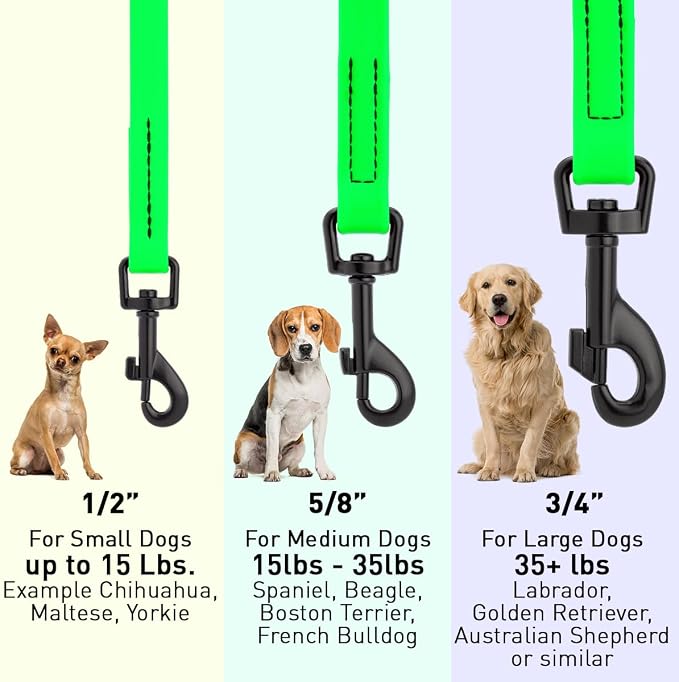 Dogline Biothane Waterproof Dog Leash Strong Coated Nylon Webbing with Black Hardware Odor-Proof Easy to Clean High Performance for Small or Large Dogs Made in USA 4 or 6 ft Lead, Tropical Green - Image 3