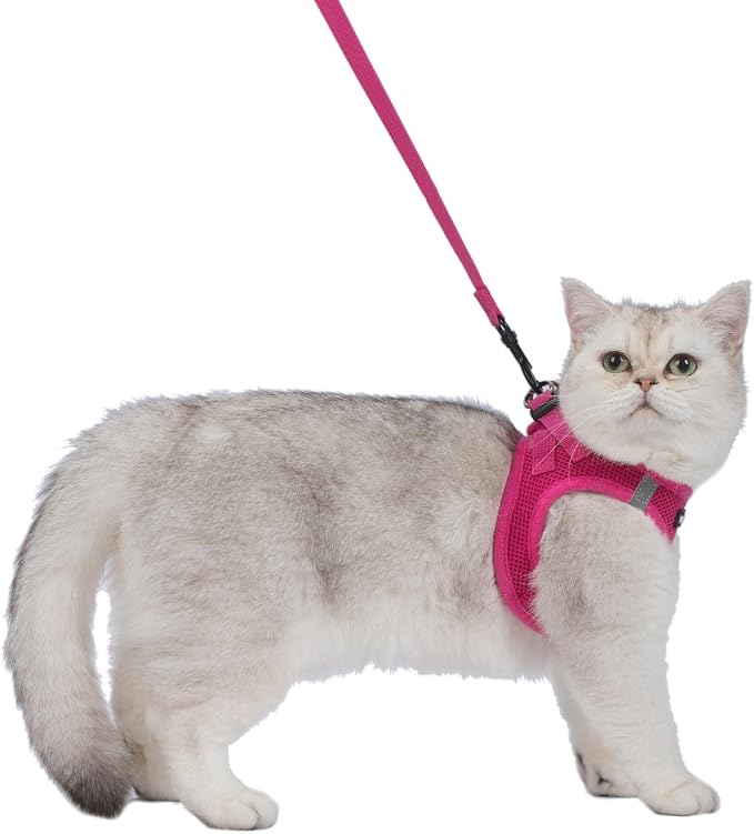 Voyager Step-in Air Cat Harness & Leash Set - Fuchsia, XX-Small | 12 - 13.5" in Chest, Reflective Bands, All Weather Breathable Air Mesh, Cats Compatible, Fast Drying - Image 6