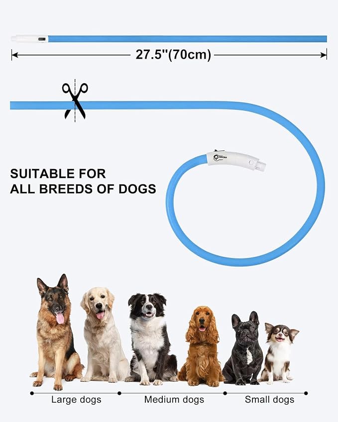 Joytale Light Up Dog Collar, LED Silicone Cut-to-Fit Rainproof, Blue | Soft Skin-Friendly Won't Chafe, 360° Glow Keeps Dogs Visible at Night, 3 Modes, Rechargeable USB-C, Small Medium Large Dogs - Image 6